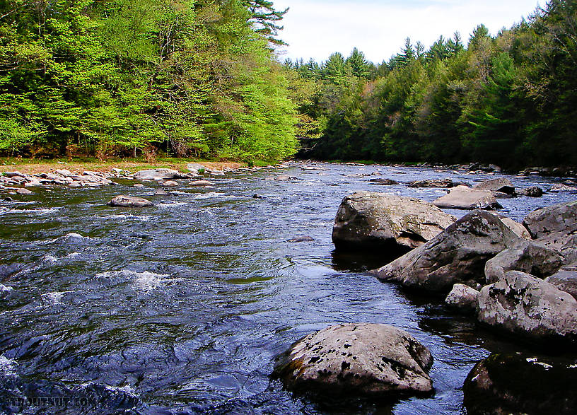  From the Neversink River Gorge in New York.