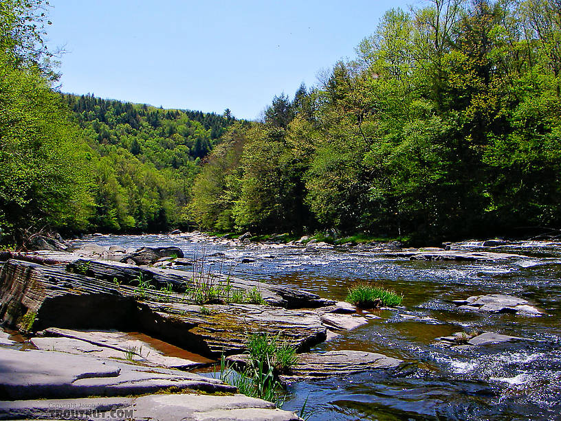  From the Neversink River Gorge in New York.