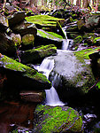  From the Neversink River Gorge (unnamed trib) in New York.