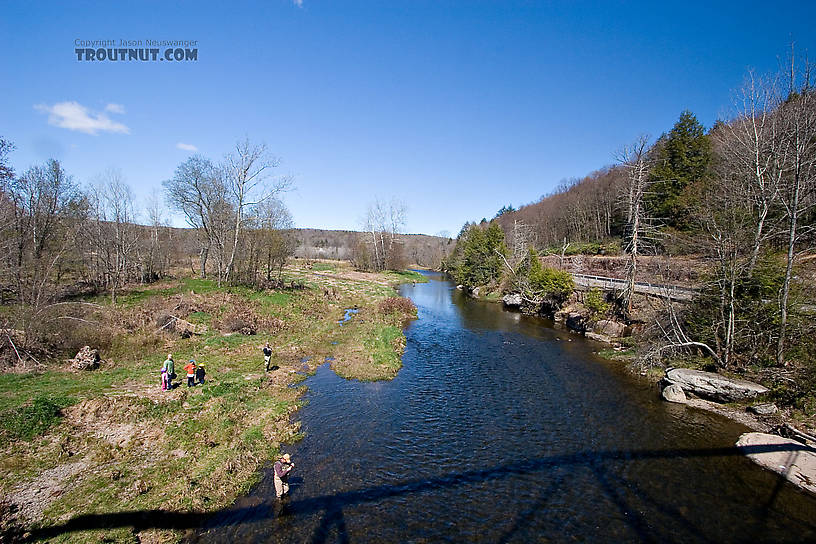 This popular Catskill stream was a bit crowded on one of the prime days of the Hendrickson hatch. From the Beaverkill River in New York.