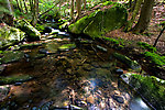  From Neversink Gorge (Wolf Brook) in New York.