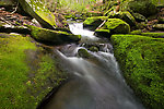  From Neversink Gorge (Wolf Brook) in New York.