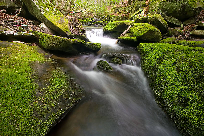  From Neversink Gorge (Wolf Brook) in New York.