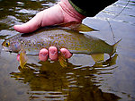  From the Chatanika River in Alaska.