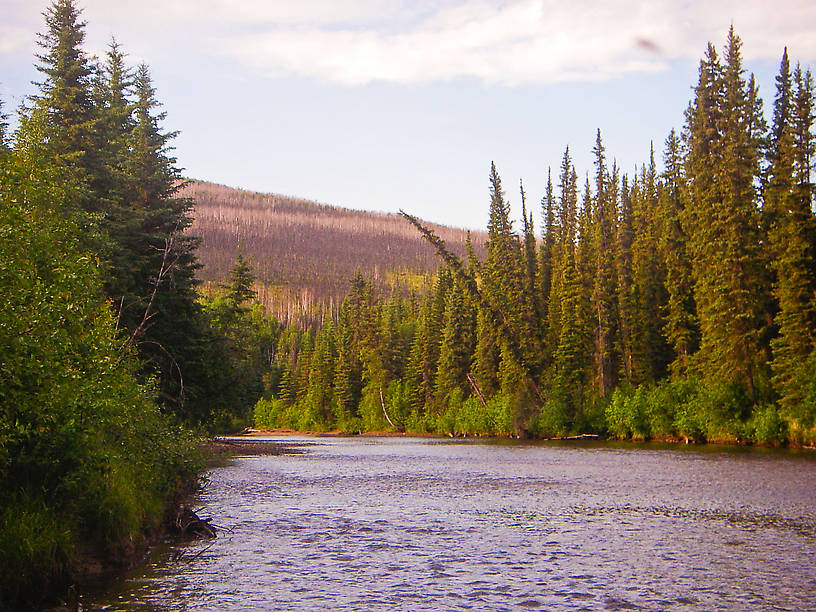  From the Chatanika River in Alaska.