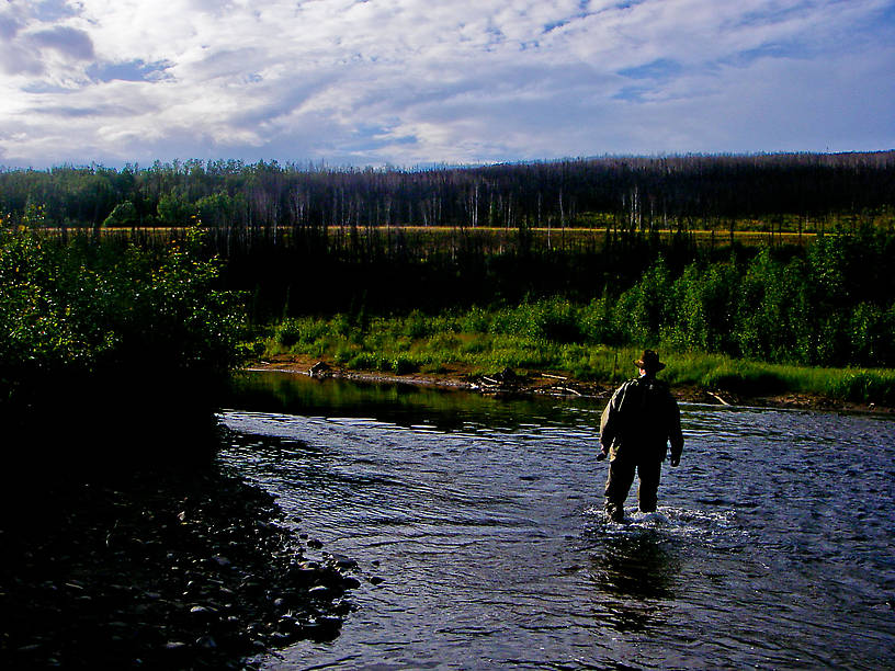 My dad walks back to the car after a few hours catching grayling. From the Chatanika River in Alaska.