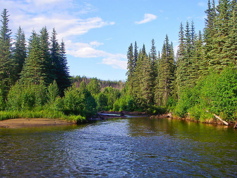  From the Chatanika River in Alaska.