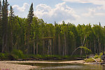  From the Chena River in Alaska.