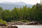  From the Chena River in Alaska.