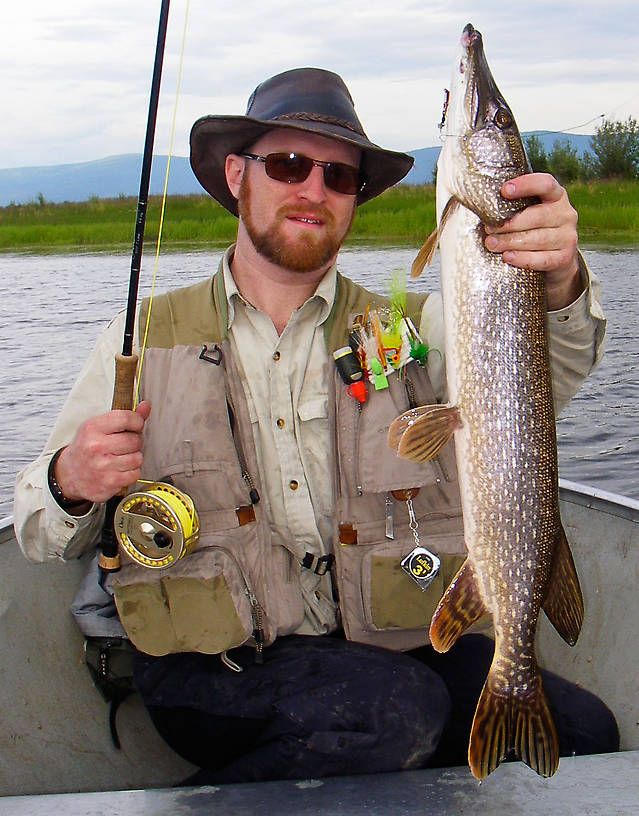 My best pike of the trip taped out at 30.5". From Minto Flats in Alaska.