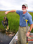 Out in this pike slough we made an interesting fine, a long-decayed moose carcass.  Against my protest, my dad lifted the skull out of the water as a potential souvenir.  However, it wasn't quite broken down to nothing-but-bone yet, and it smelled horrible, so it went back in the river. From Minto Flats in Alaska.