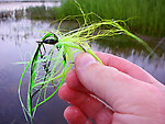 Talk about a bad hair day.  This chartreuse/everglow deceiver had been through about 15 northern pike already. From Minto Flats in Alaska.