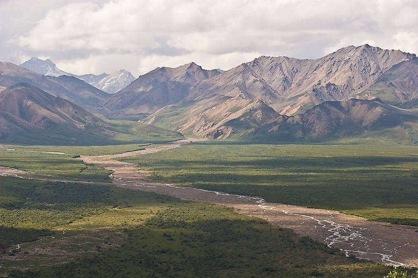  From Denali National Park in Alaska.