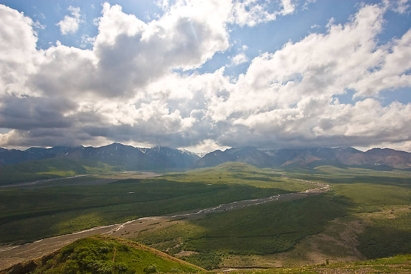  From Denali National Park in Alaska.