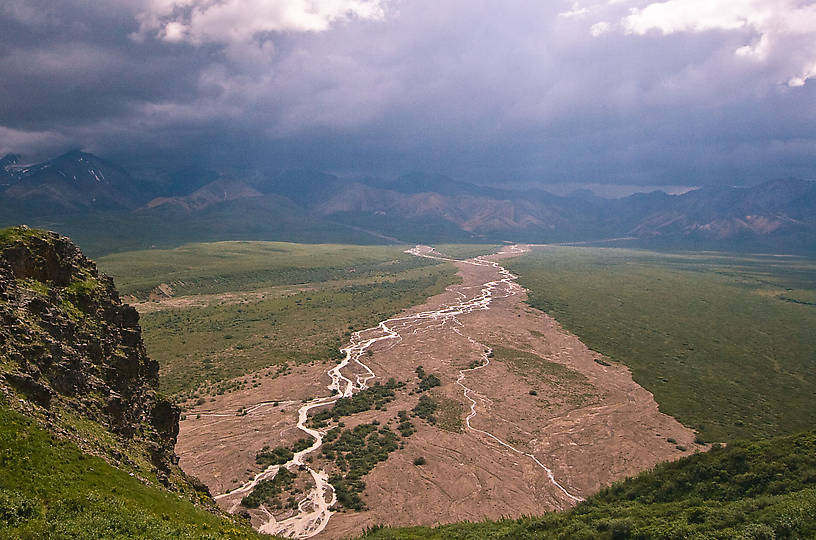  From Denali National Park in Alaska.