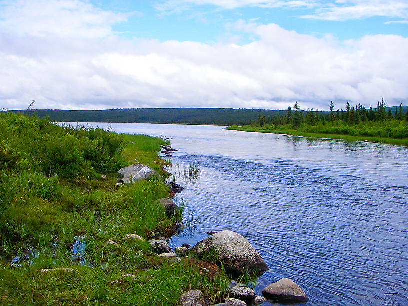  From the Gulkana River in Alaska.