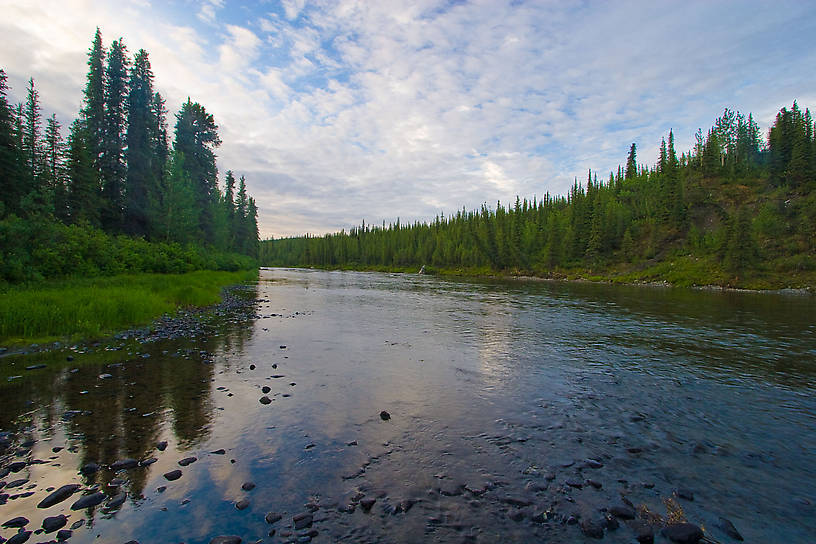  From the Gulkana River in Alaska.