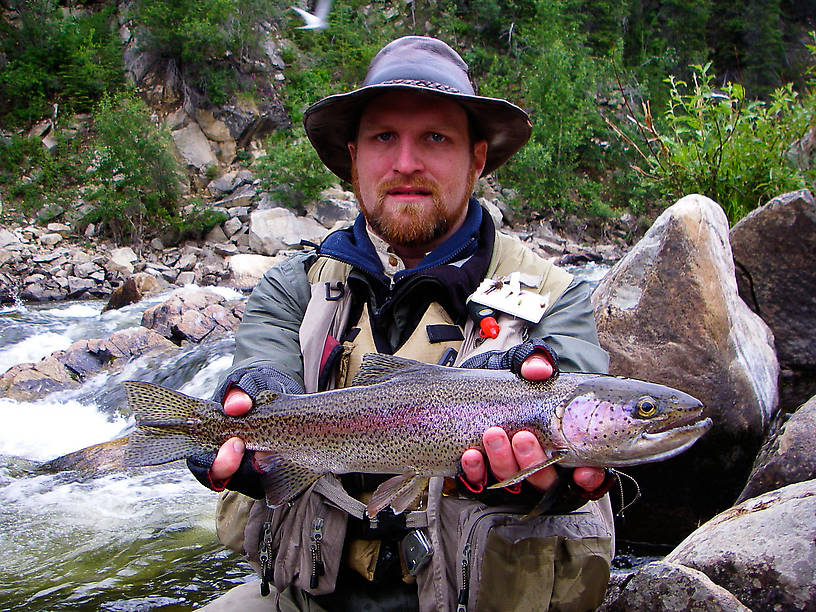 Mean-looking 17-inch rainbow. From the Gulkana River in Alaska.