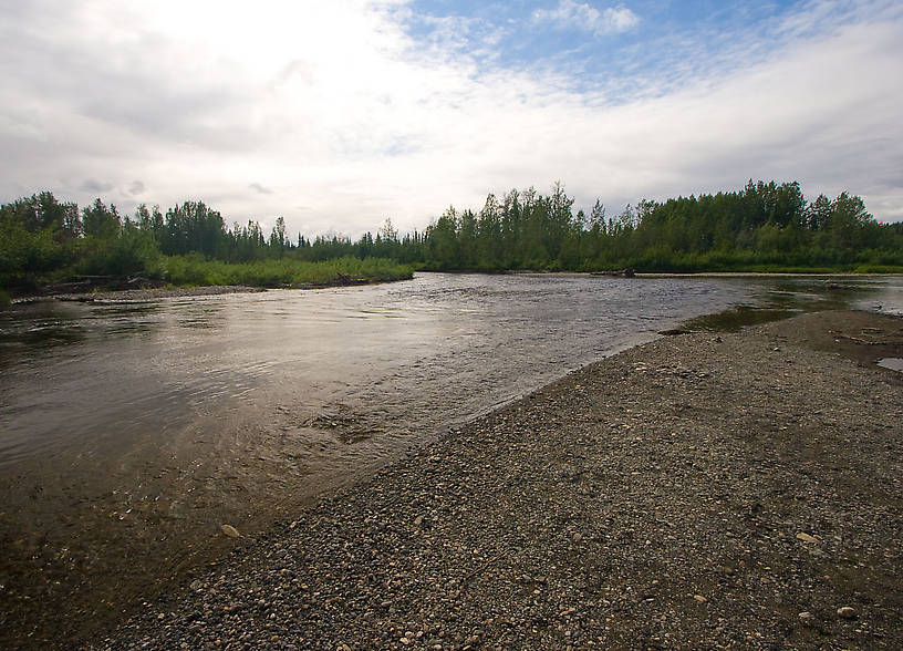  From the Gulkana River in Alaska.