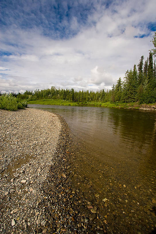  From the Gulkana River in Alaska.