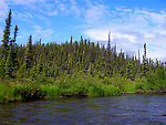  From the Gulkana River in Alaska.