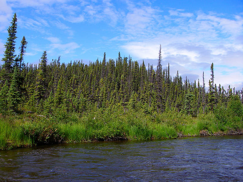  From the Gulkana River in Alaska.