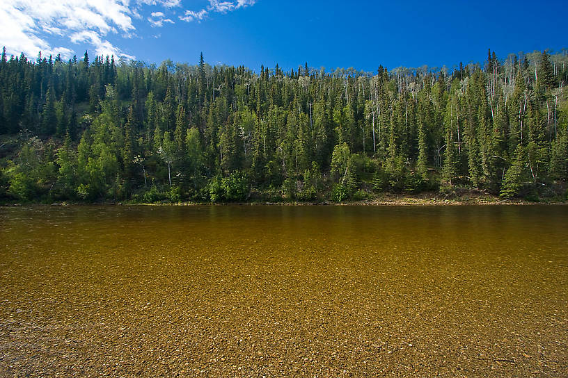  From the Salcha River in Alaska.