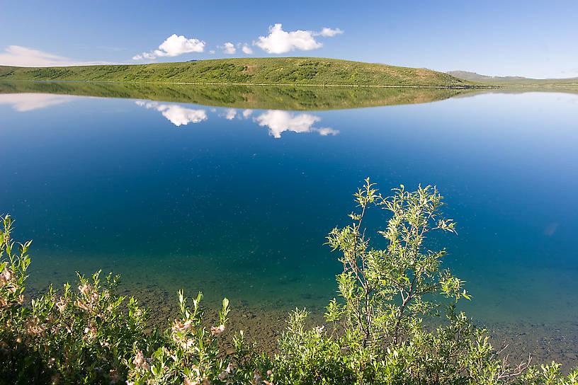 This is one of the clearest lakes I've ever seen.  All the white smudges in the foreground are midges hovering over the bushes. From Summit Lake in Alaska.