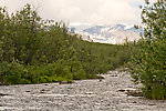  From the Gulkana River in Alaska.