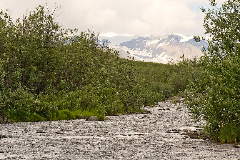  From the Gulkana River in Alaska.