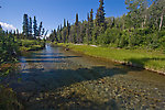  From Donnelly Creek in Alaska.