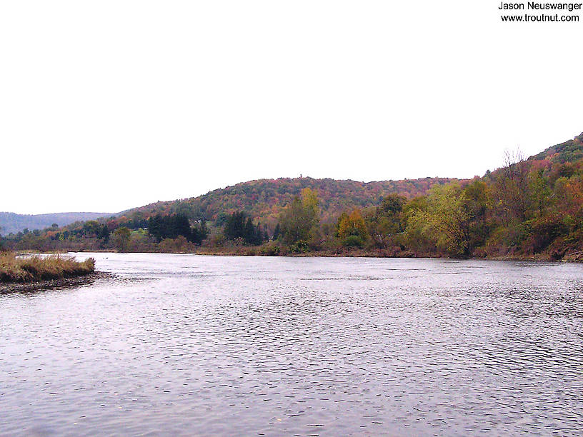 Here's a large, famous Eastern trout stream during a weekend of slow fishing in the fall. From the West Branch of the Delaware River in New York.