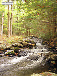 I love the look of this tiny wilderness stream in the Catskills.  It hasn't cut any sort of stream channel down into the ground.  Instead, it just bubbles down over the boulders on the surface of a hill. From Mullet Brook in New York.