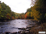  From the Neversink River Gorge in New York.