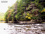  From the Neversink River Gorge in New York.