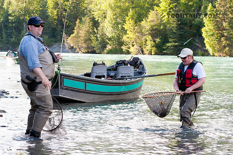  From the Kenai River in Alaska.