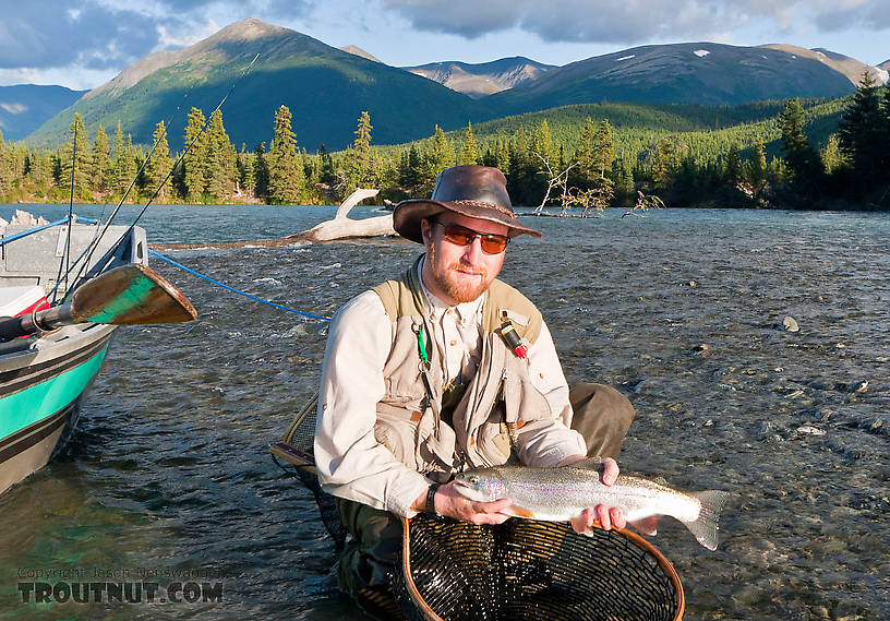  From the Kenai River in Alaska.