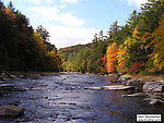  From the Neversink River Gorge in New York.