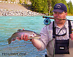  From the Kenai River in Alaska.