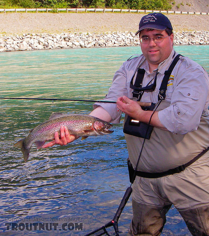  From the Kenai River in Alaska.