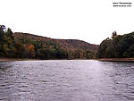  From the Delaware River in New York.