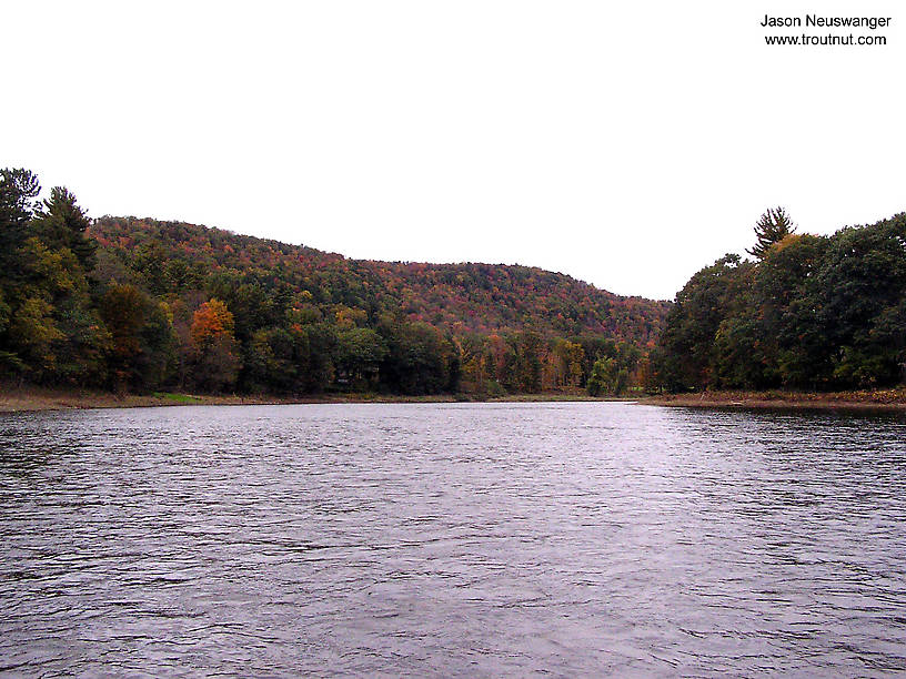  From the Delaware River in New York.