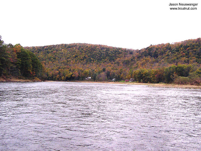  From the Delaware River in New York.