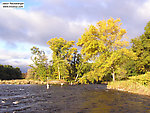 Several anglers await a disappointingly sparse morning run of salmon from Lake Ontario. From the Salmon River in New York.