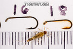 Baetis (Blue-Winged Olives) Mayfly Nymph