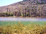 I love this "above & below" landscape from a popular Catskill trout stream.  The picture is not doctored to show both perspectives.  Instead, my Pentax Optio WPi digital camera is able to take pictures with the tiny lens half-in, half-out of the water. From the East Branch of the Delaware River in New York.