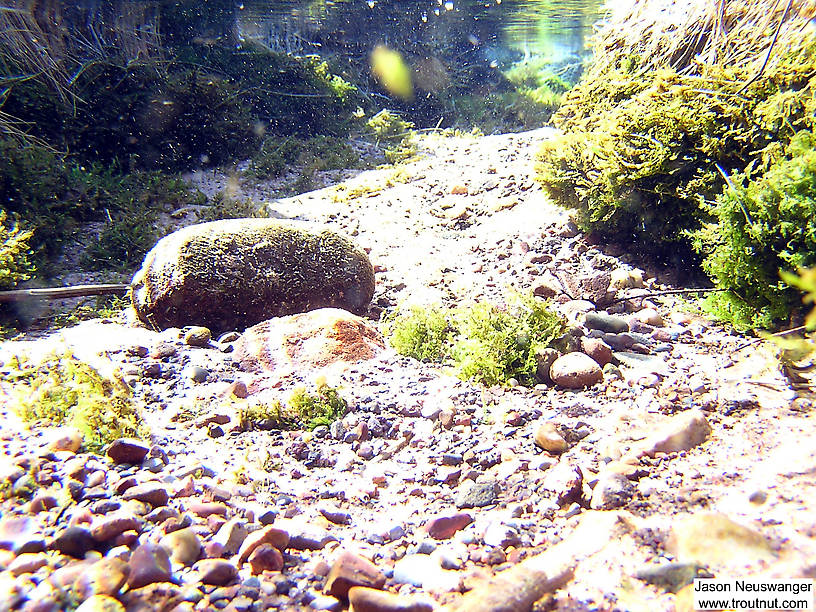  From the Mystery Creek # 19 in Wisconsin.