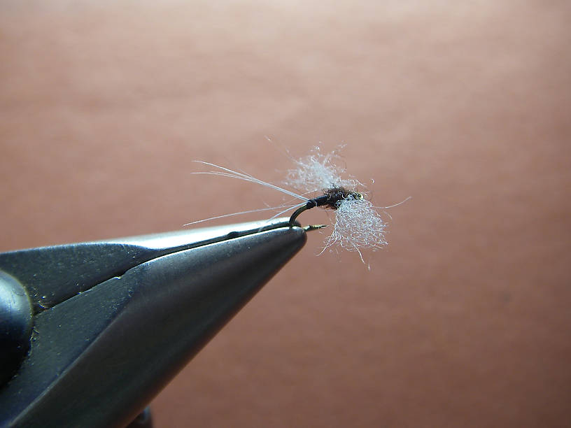 A fly for really flat water.  The "McFly Foam" wing is almost transluscent when wet.  Difficult to see on broken water.  It does't float well after a dunking unless it is dried on a bandana, paper towel, your shirt, spare toilet paper or whatever you have handy.  But it is worth the effort on those really picky ones...
2488 hook size 22.