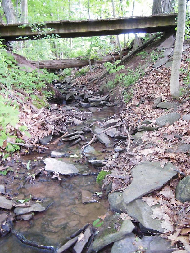 This last photo is the intermittent stream where these (what are they?) bugs live, breed and die.
I JUST saw that I was PM'd last JUNE asking for this photo... Sorry...