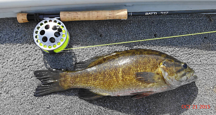 Nice 18" smallmouth.